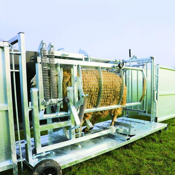 Sheep Vet - Image 2