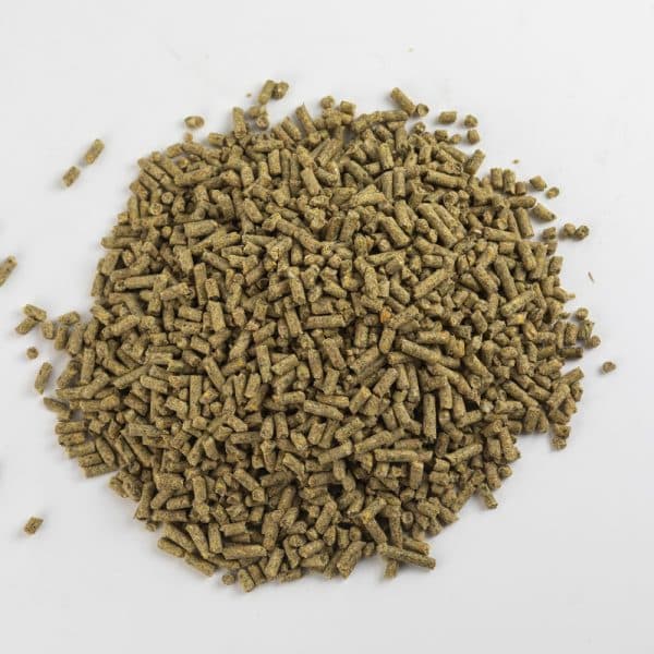 Paragon Farm Creep Feed Blend