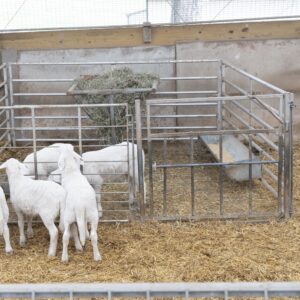 PF FDGcreep feed area staged DSC2256 - Products