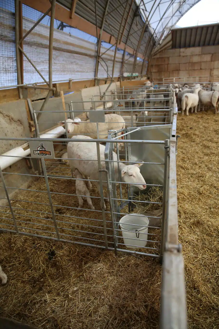 PQ6A3671 scaled - Grafting Gate