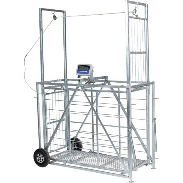 Easy Weigh Sheep & Goat Scale - Image 2