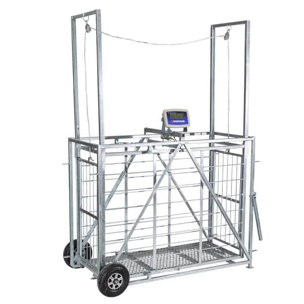 Easy Weigh Sheep & Goat Scale