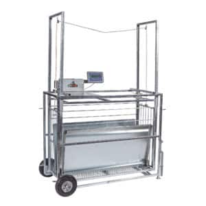 Easy Weigh Sheep & Goat Scale