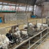 bunk feeder 1 1 - Bunk Feeder