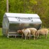 PF FDG Lick feeder w sheep - Universal Lick Feeder Ultimate 4000