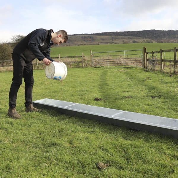 Floor Feeding Trough - Image 3