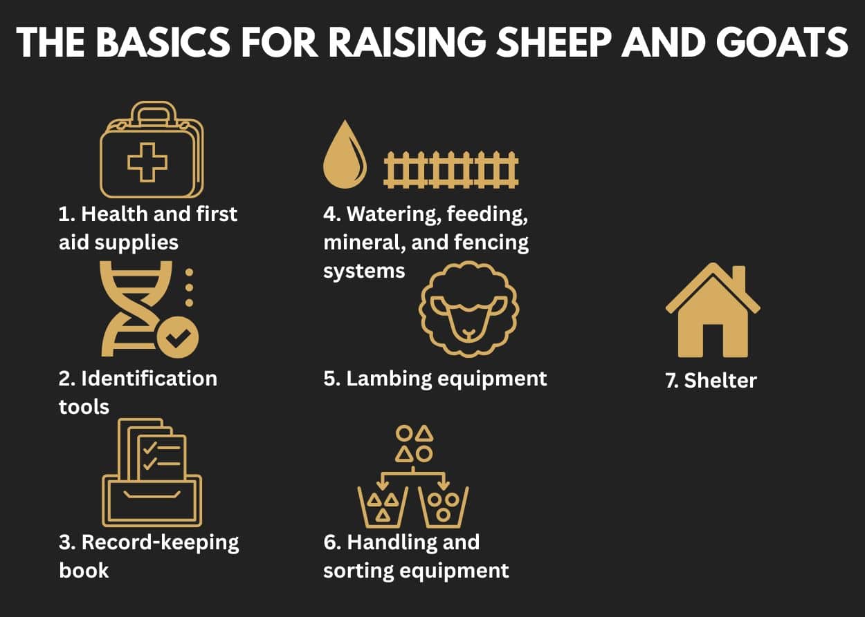 Minigraphic 1 1 - Sheep & Goat Supplies for Small Farms: Everything You Need To Know
