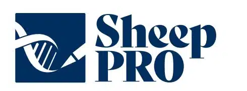 sheep pro - Homepage