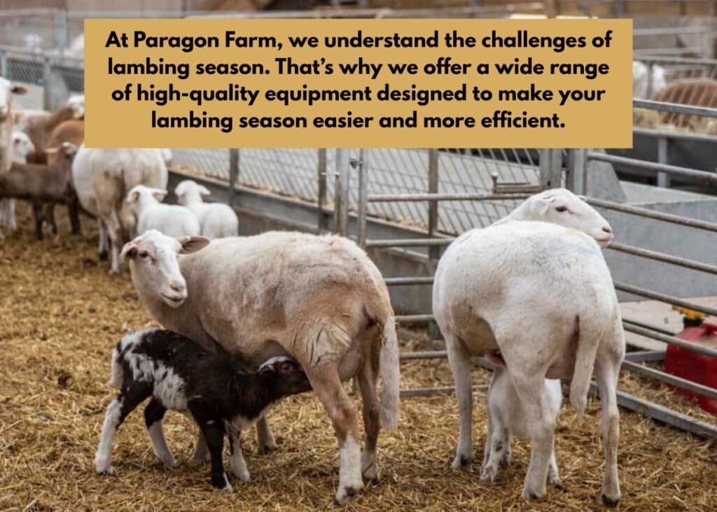 we understand the challenges of lambing season