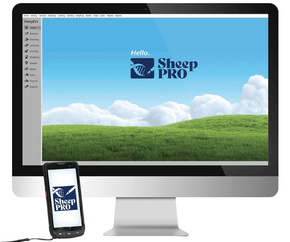 SheepPro Computer Image - SheepPro Software