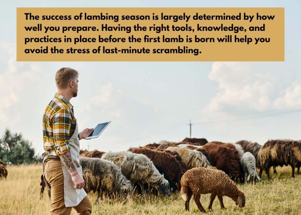 success of lambing season is determined by preparation