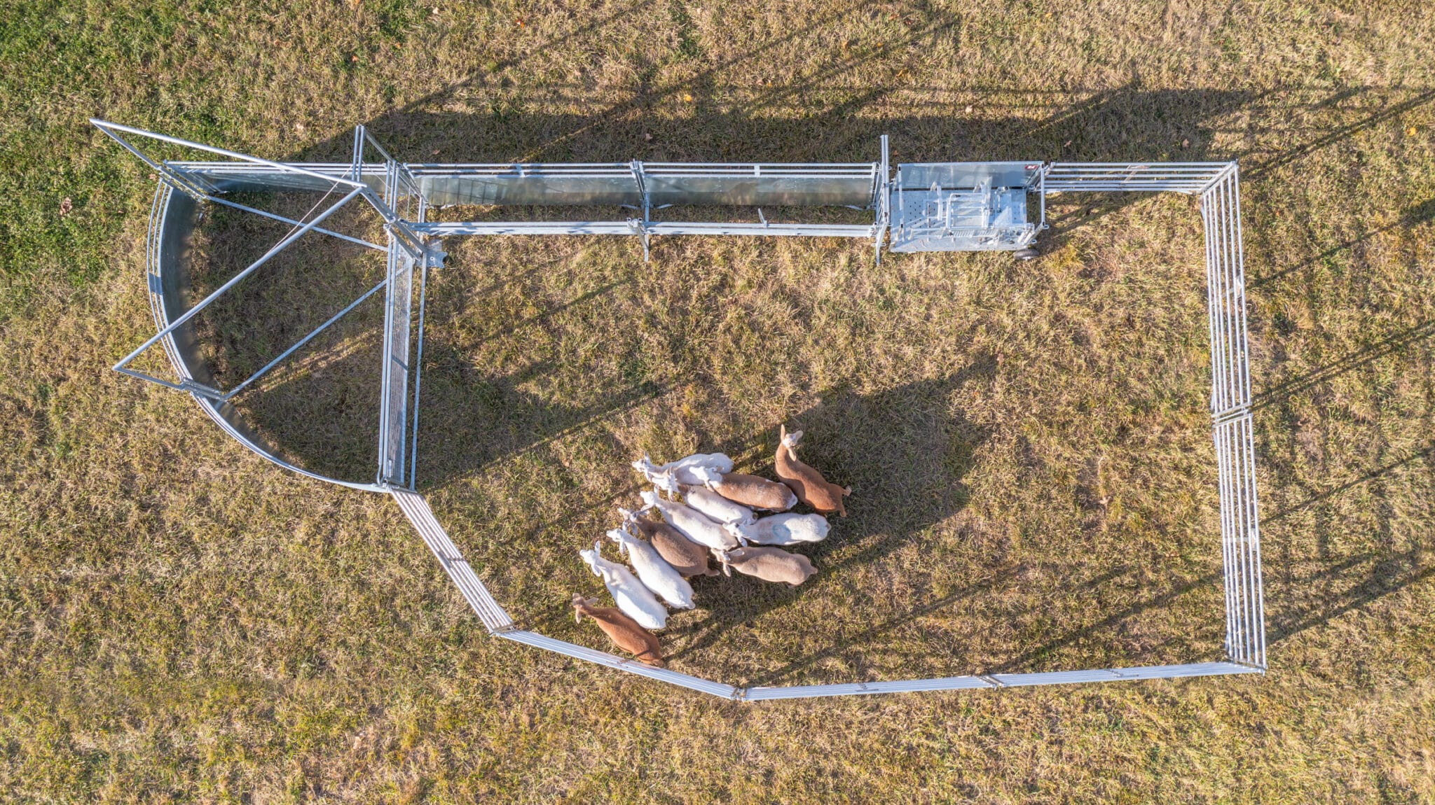 DJI 0165 scaled - Crowding Tub