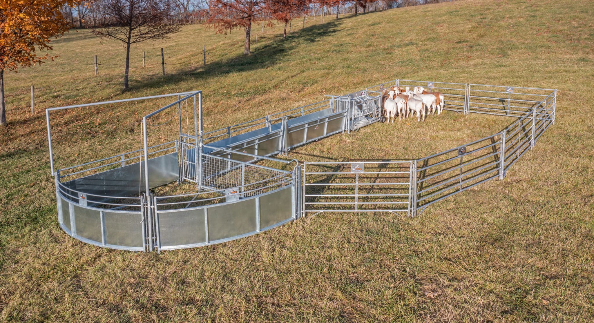 DJI 0169 scaled - Crowding Tub