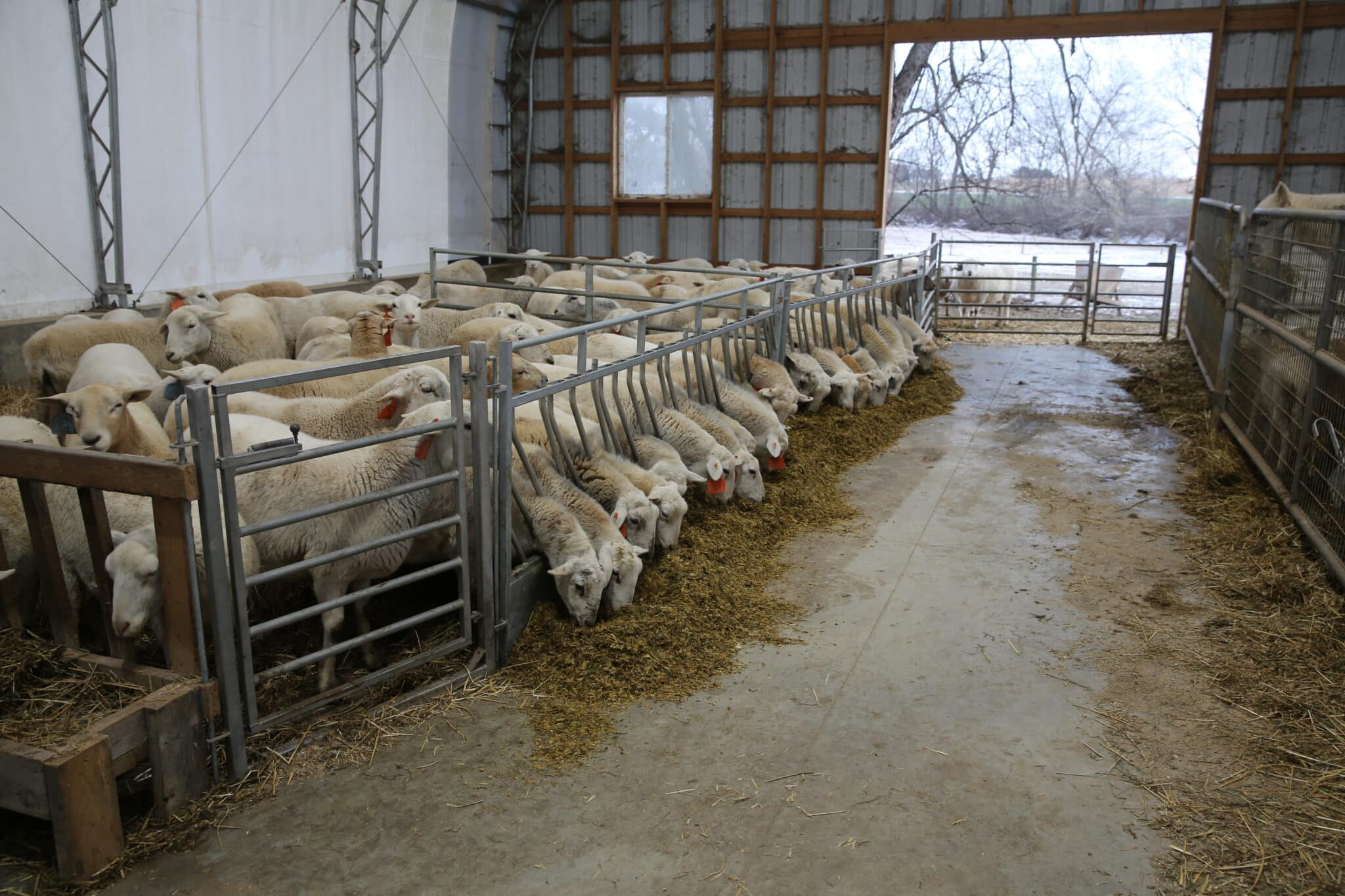 PQ6A9421 scaled - Self-Closing Slant Bars